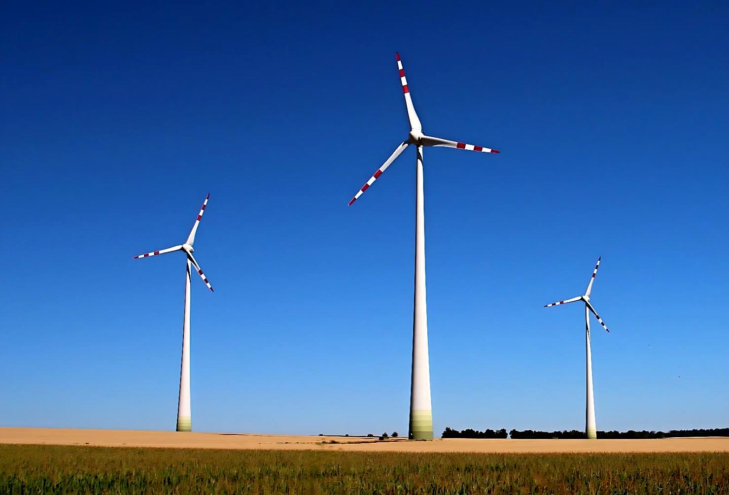 Formation en énergie durable et pratiques renouvelables